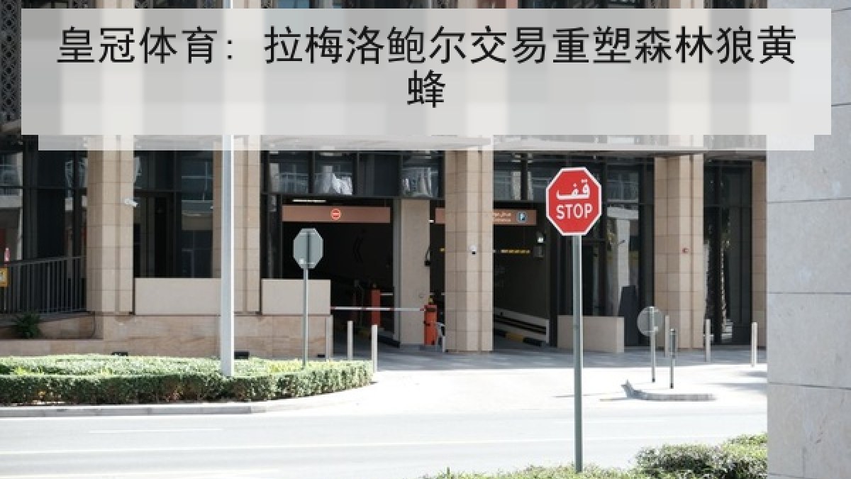 皇冠体育: 拉梅洛鲍尔交易重塑森林狼黄蜂 皇冠体育: 拉梅洛鲍尔交易重塑森林狼黄蜂