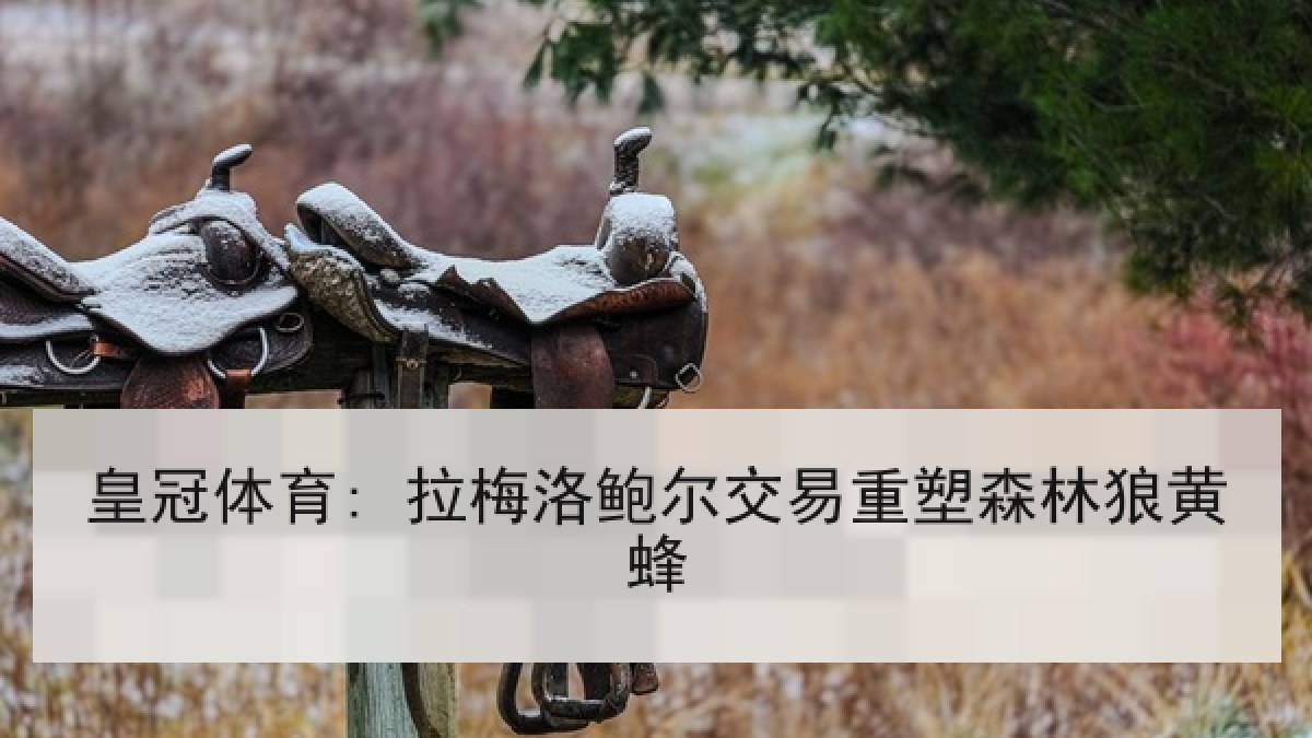 皇冠体育: 拉梅洛鲍尔交易重塑森林狼黄蜂 皇冠体育: 拉梅洛鲍尔交易重塑森林狼黄蜂